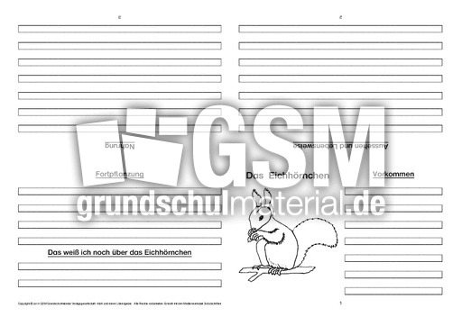 Eichhörnchen-Faltbuch-Steckbrief-vierseitig-3.pdf
